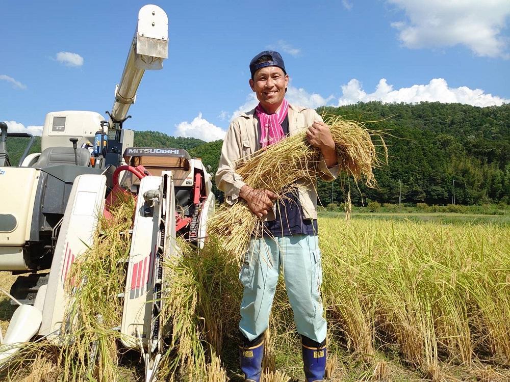 【令和7年産 2025年9月中旬以降、順次発送】丹波与作が作るいわやのお米 特別栽培米 5kg　丹波篠山産 こしひかり　丹波篠山市 農都のめぐみ米！カルゲン栽培！