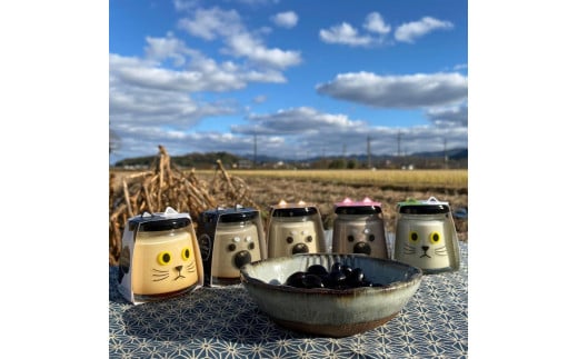 【新物 令和7年産 令和7年12月中旬以降発送 】川北黒大豆　Lサイズ粒　500g×2袋