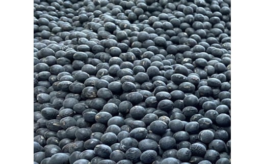 【一年かけて熟成！】川北黒大豆使用の黒豆みそ 500g入×４パック