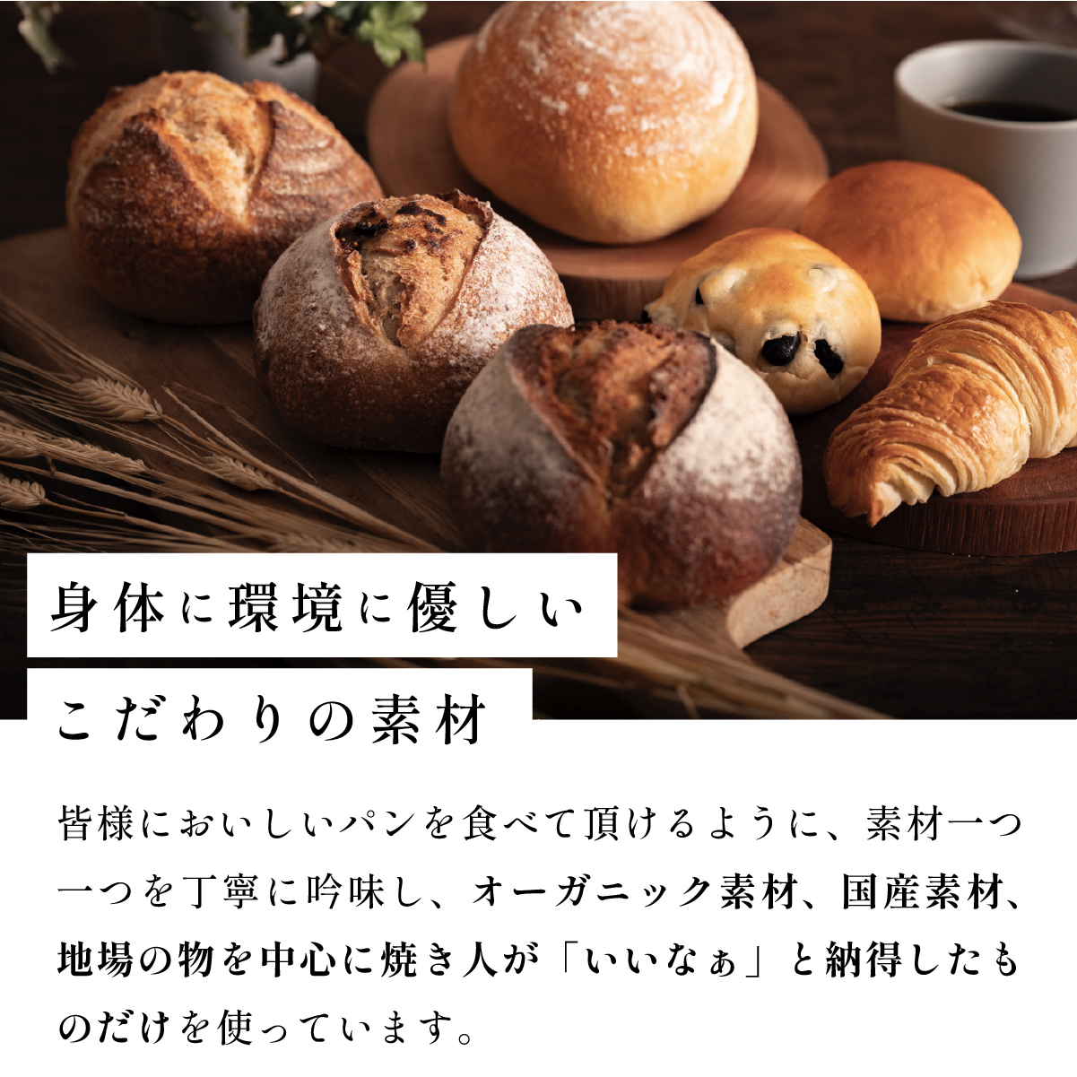 自家製天然酵母 7種入り パン セット