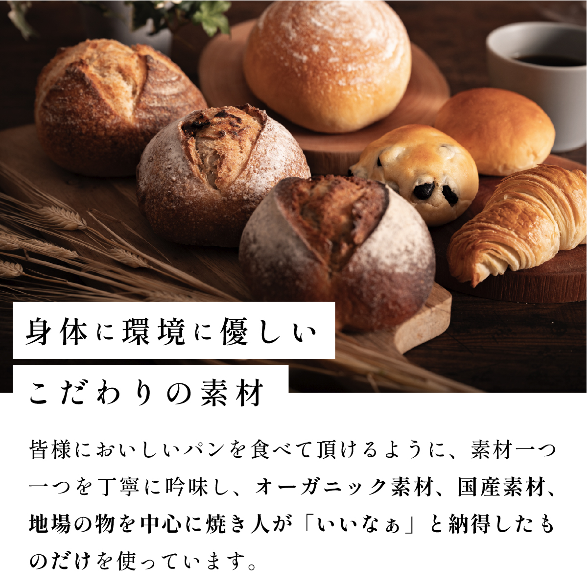 お試しちょこっとパンセット 5種入り