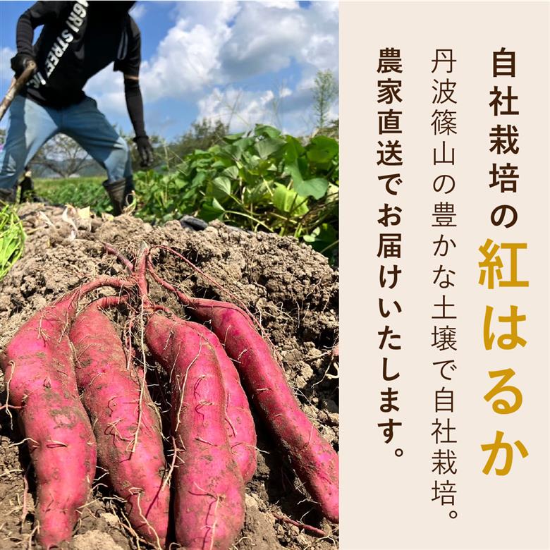 無添加 丹波篠山市産 紅はるか 干し芋 1kg TVで紹介されました！