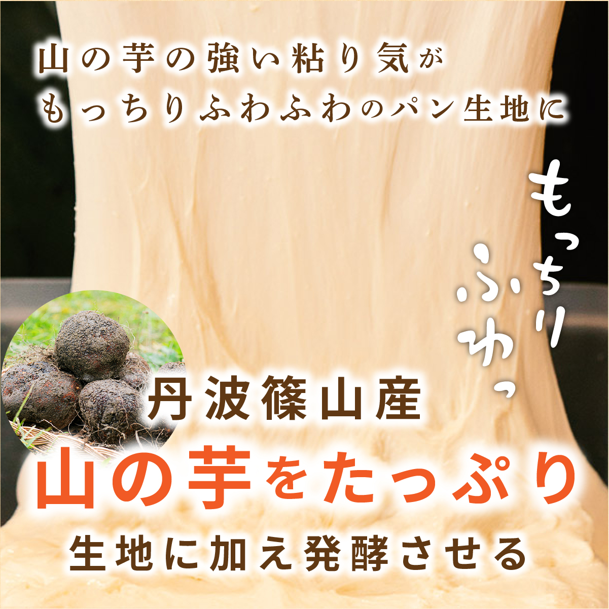 山の芋 食パン 3種セット ふるさと納税 パン ぱん セット 国産小麦 食パン 山の芋 朝食