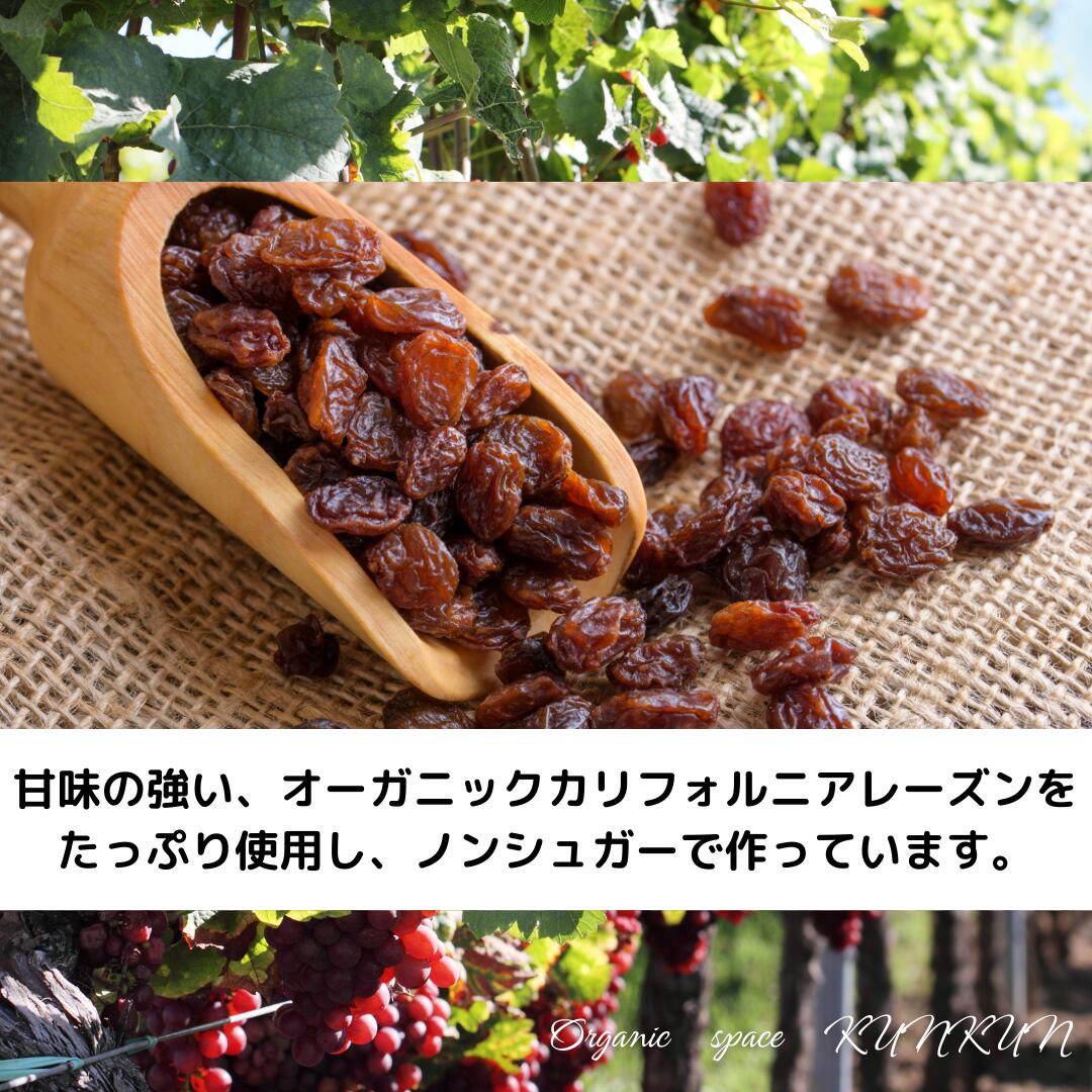 【秋＆冬限定商品】ノンシュガー　特別栽培りんごのヘルシーシュトーレン【卵・乳製品・小麦・砂糖不使用】