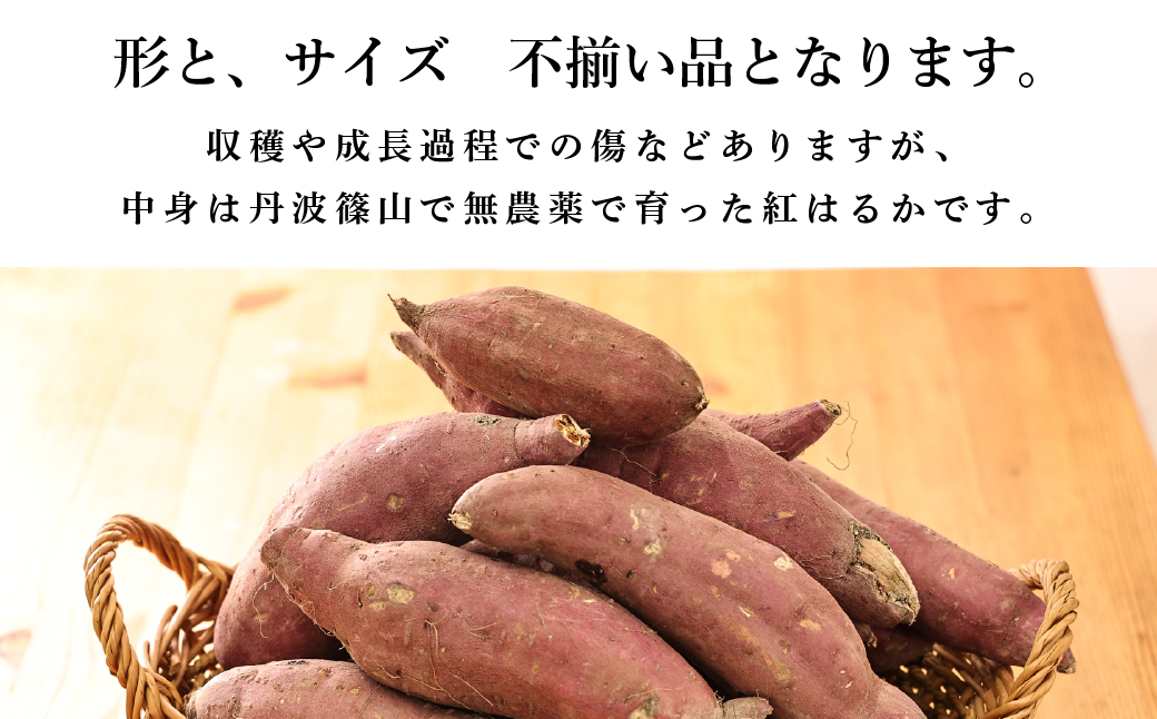 さつま芋　紅はるか　サイズ混合　10kg│ さつまいも サツマイモ さつま芋 甘い ホクホク 焼き芋 焼芋 焼いも