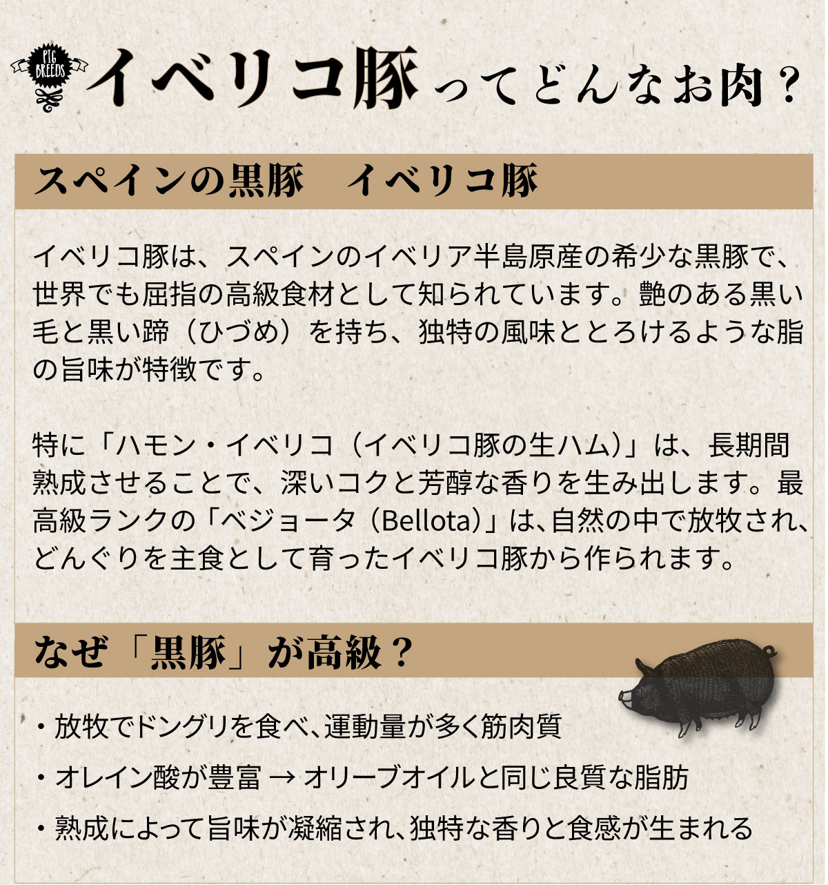 イベリコ豚入りソーセージ　3kg(500g x 6p)