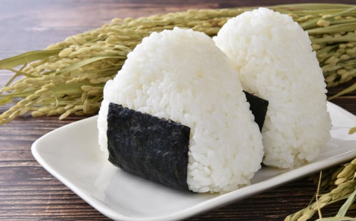 令和7年産 丹波たぶち農場の特別栽培米こしひかり 20kg