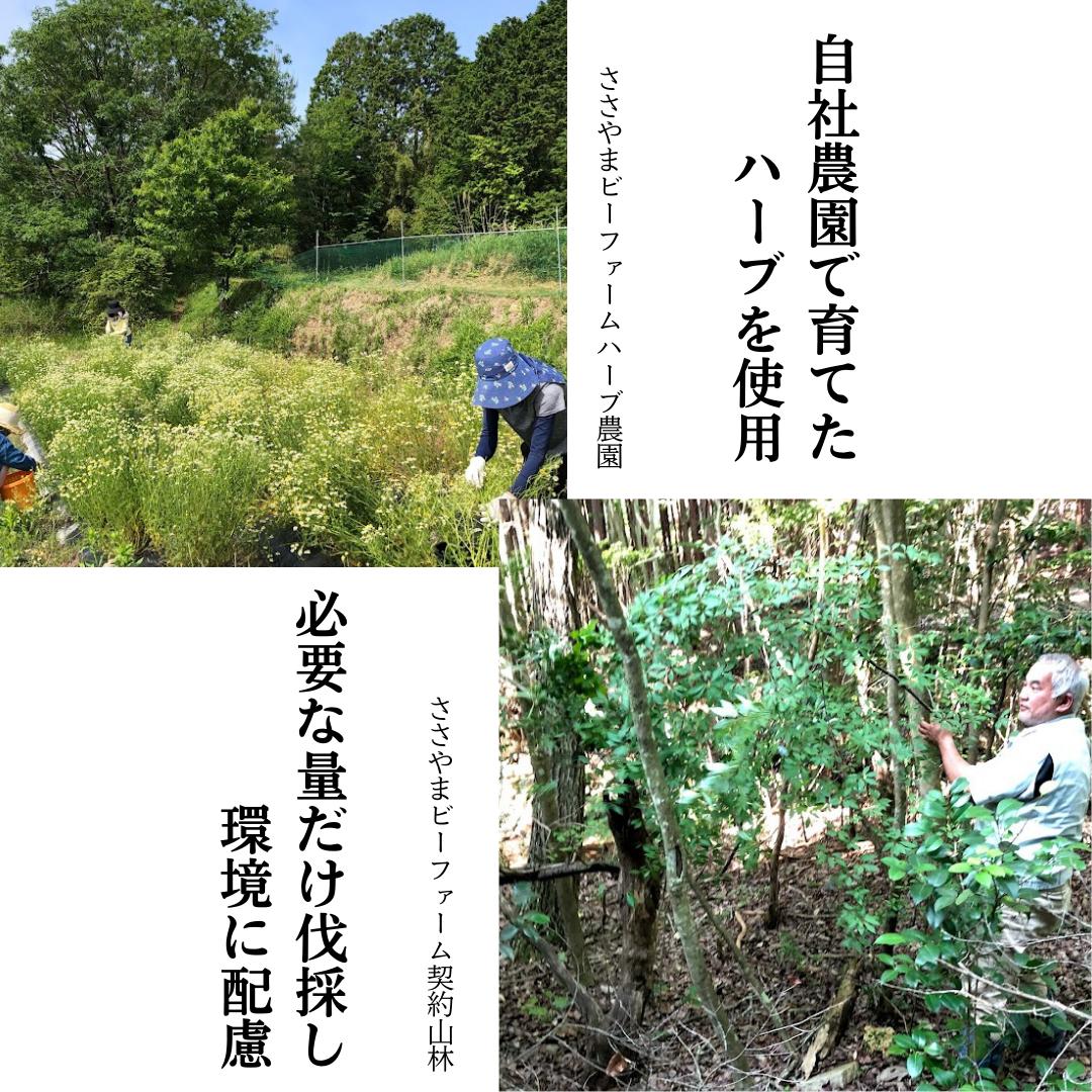 篠山精油ハーブウォーター 化粧水 芳香蒸留水 3本 各100ml