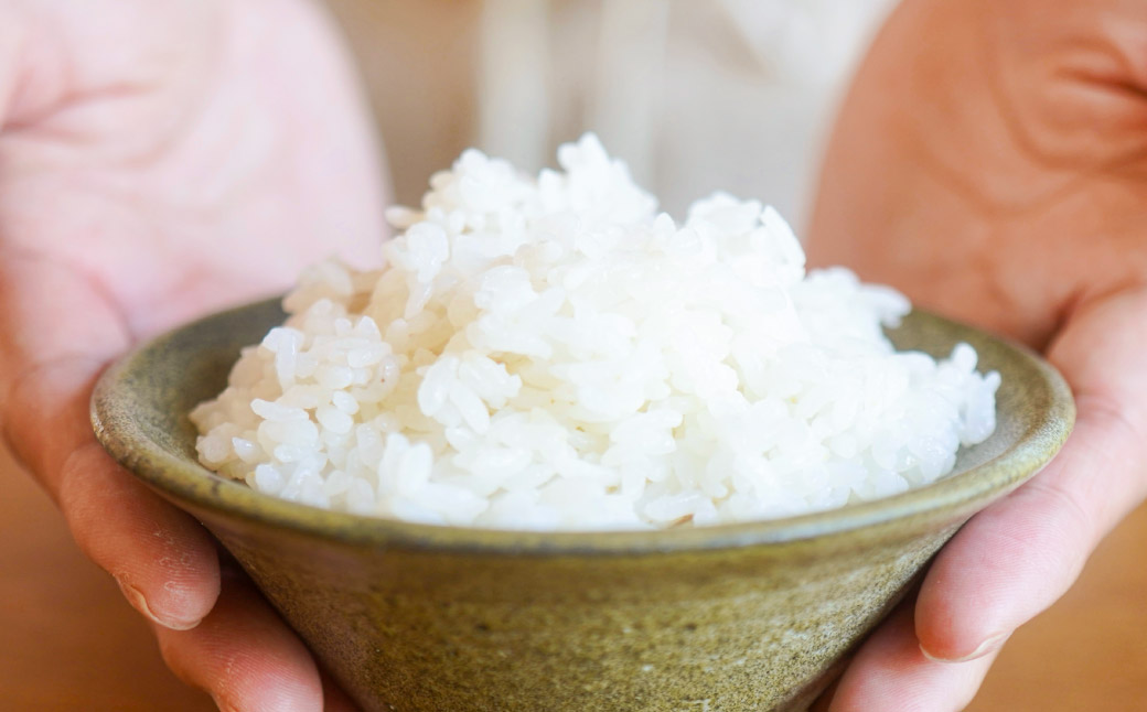 《定期便》令和7産 特Aランク 丹波篠山産 特別栽培米 こしひかり 玄米 20kg 全12回 減農薬 自家製堆肥 国産 兵庫県丹波篠山市