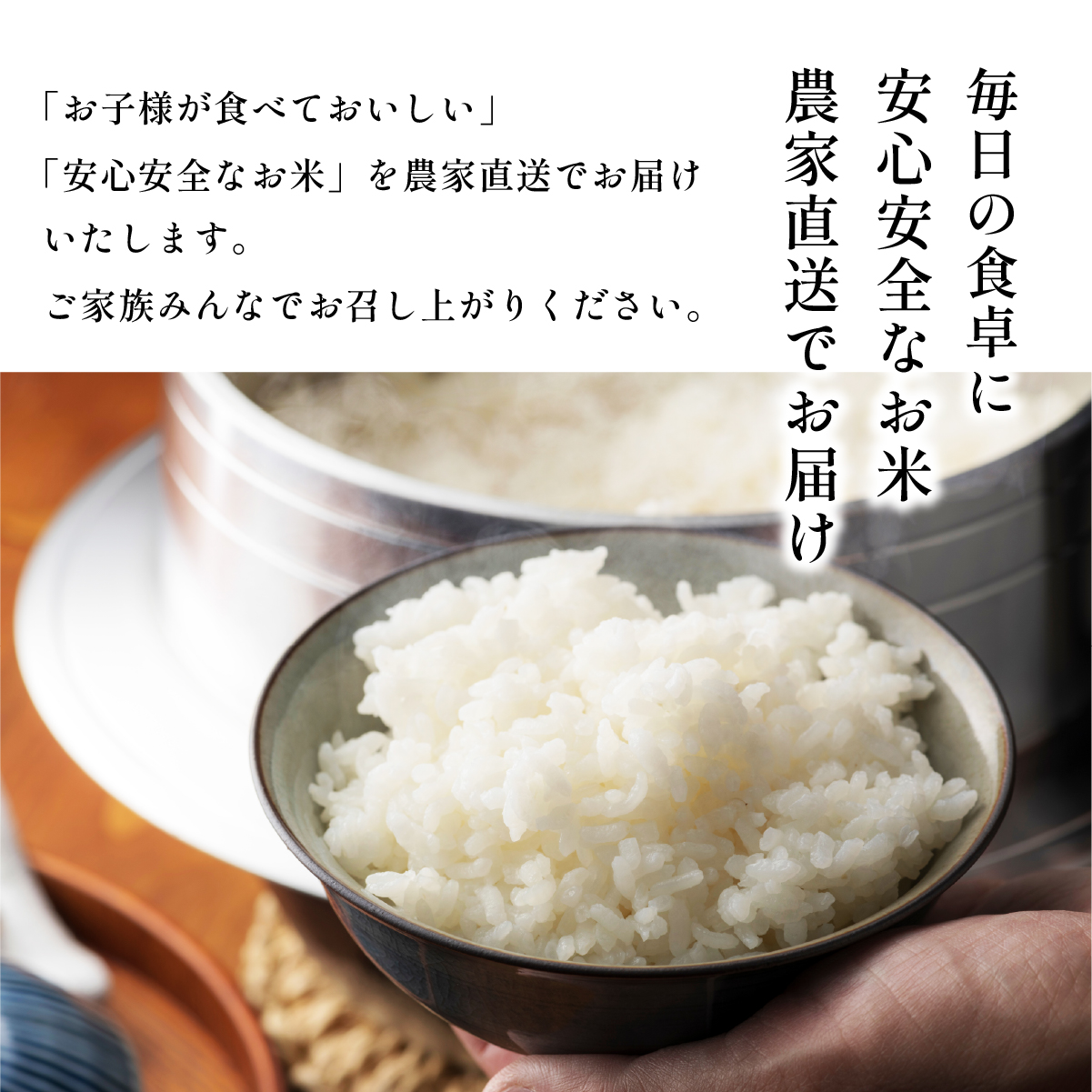 【定期便】〈令和８年産早期予約〉有機米 コシヒカリ【有機JAS認定 無農薬】 玄米（5kg×12回）選べる