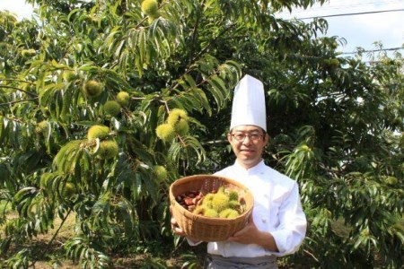 雪岡のチーズケーキ「丹波栗のチーズケーキ」