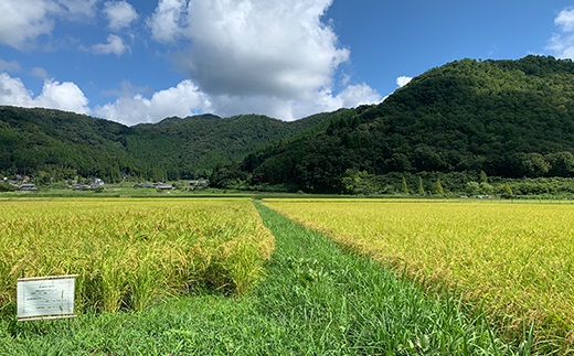 【令和7年産】丹波篠山の地醤油漬、佃煮セット　令和6年産 特別栽培米5kgと実山椒・山蕗