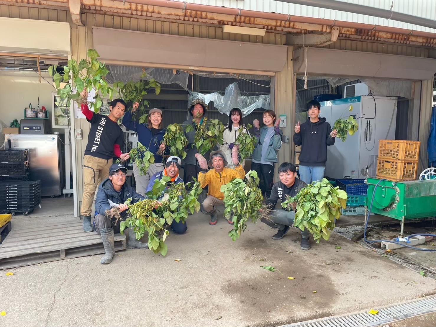 秋の味覚「丹波黒枝豆」  濃厚なコク・500g×2袋　晩摘み 【2025年10月22日～11月上旬頃お届け予定】 知る人ぞ知る日本三大枝豆（丹波黒枝豆・黒崎茶豆・だだちゃ豆）のひとつ！