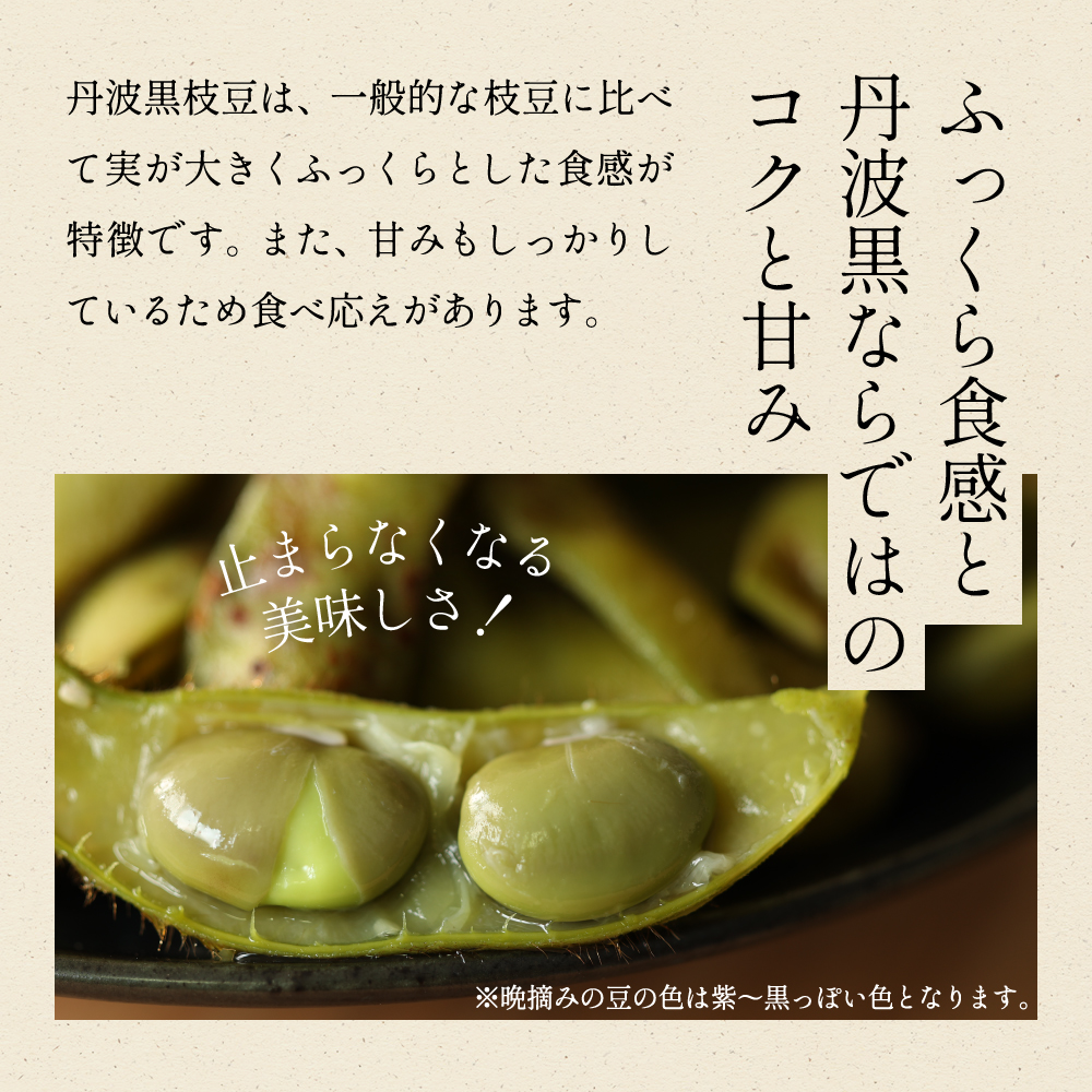 【2025年10月発送】日本三大枝豆　丹波篠山黒枝豆　1.5kg(500g × 3袋) 知る人ぞ知る日本三大枝豆（丹波黒枝豆・黒崎茶豆・だだちゃ豆）のひとつ！