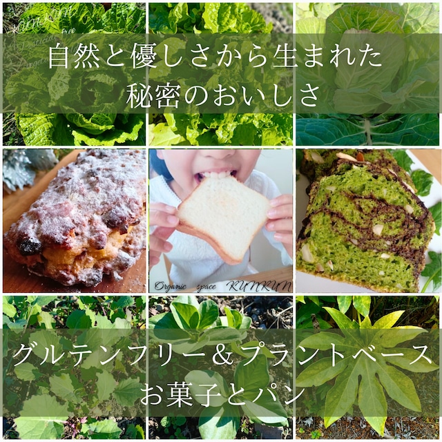 【2025年11月より順次発送】グルテンフリー・玄米天然酵母米粉食パン 3本セット【卵・乳製品・小麦・白砂糖不使用】