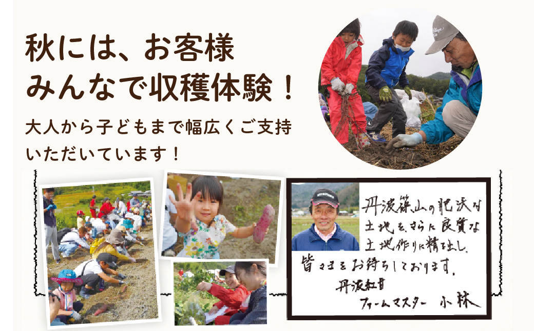 さつま芋　紅はるか　サイズ混合　5kg　│ さつまいも サツマイモ さつま芋 甘い ホクホク 焼き芋 焼芋 焼いも