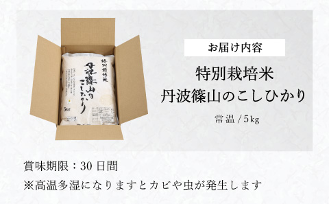 令和7年産 丹波たぶち農場の特別栽培米　こしひかり　5kg
