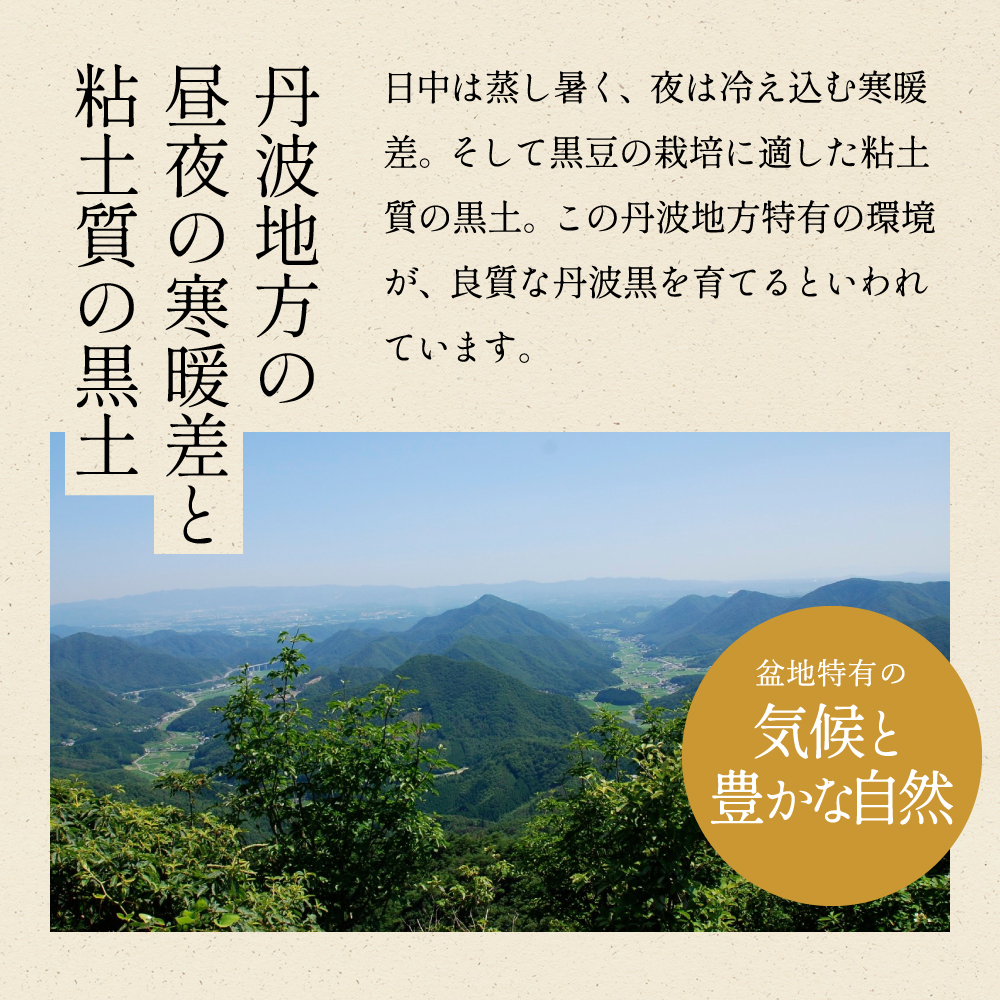 秋の味覚「丹波黒枝豆」  濃厚なコク・500g×2袋　晩摘み 【2025年10月22日～11月上旬頃お届け予定】 知る人ぞ知る日本三大枝豆（丹波黒枝豆・黒崎茶豆・だだちゃ豆）のひとつ！