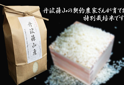 令和7年産新米 特A ランク米【特別栽培米】丹波篠山産コシヒカリ 2kg ３袋