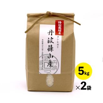 令和7年産新米 特A ランク米【特別栽培米】丹波篠山産コシヒカリ 5kg 2袋