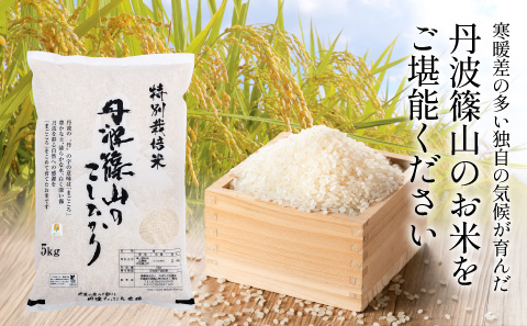 令和7年産 丹波たぶち農場の特別栽培米 こしひかり 10kg