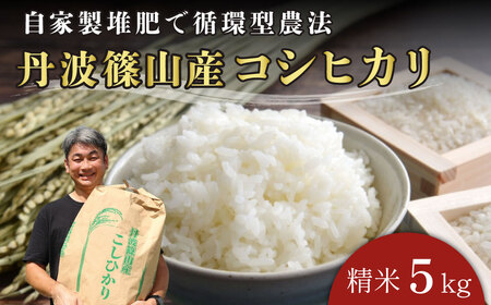 令和7年産　丹波篠山の大地で育まれたコシヒカリ　精米5kg