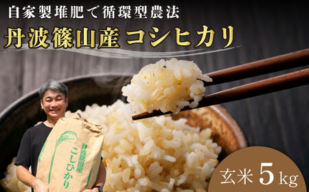 令和7年産　丹波篠山の大地で育まれたコシヒカリ　玄米5kg