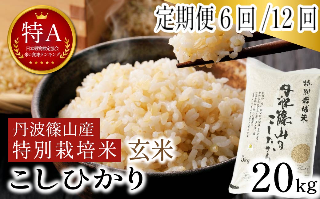 《定期便》令和7産 特Aランク 丹波篠山産 特別栽培米 こしひかり 玄米 20kg 全12回 減農薬 自家製堆肥 国産 兵庫県丹波篠山市