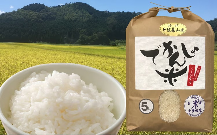 【令和7年産】 抜群の味と香り　丹波篠山産コシヒカリ5kg×１山椒醤油漬セット