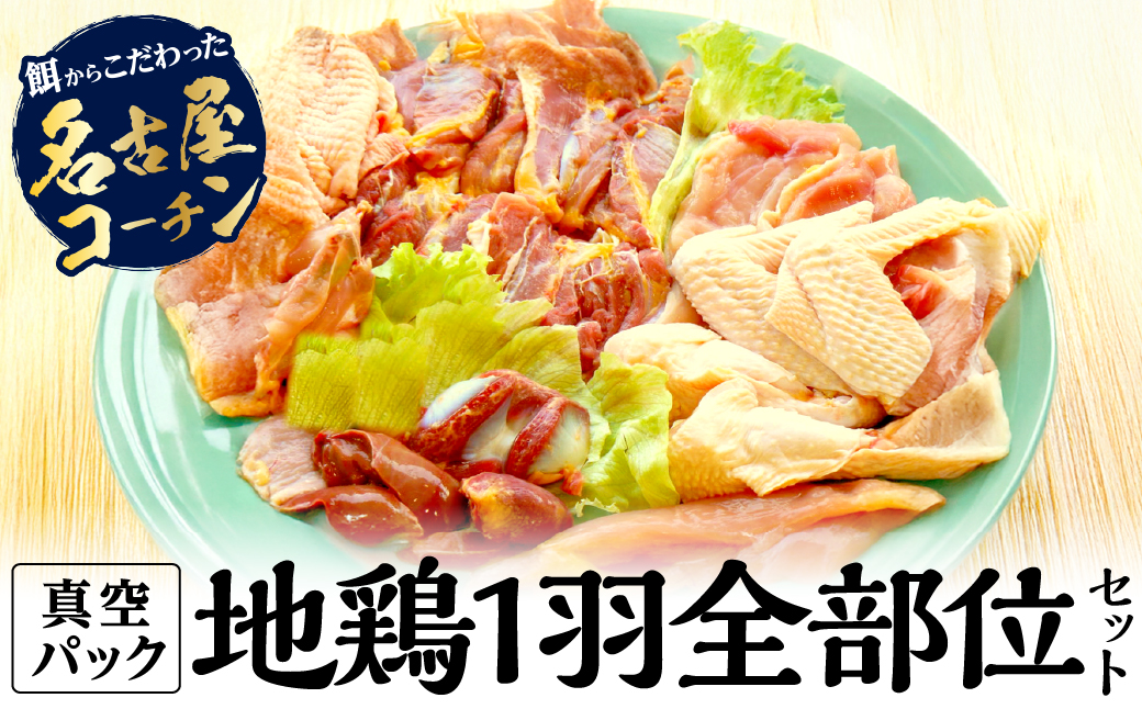 名古屋コーチン丹波ささやま地鶏１羽全部位セット