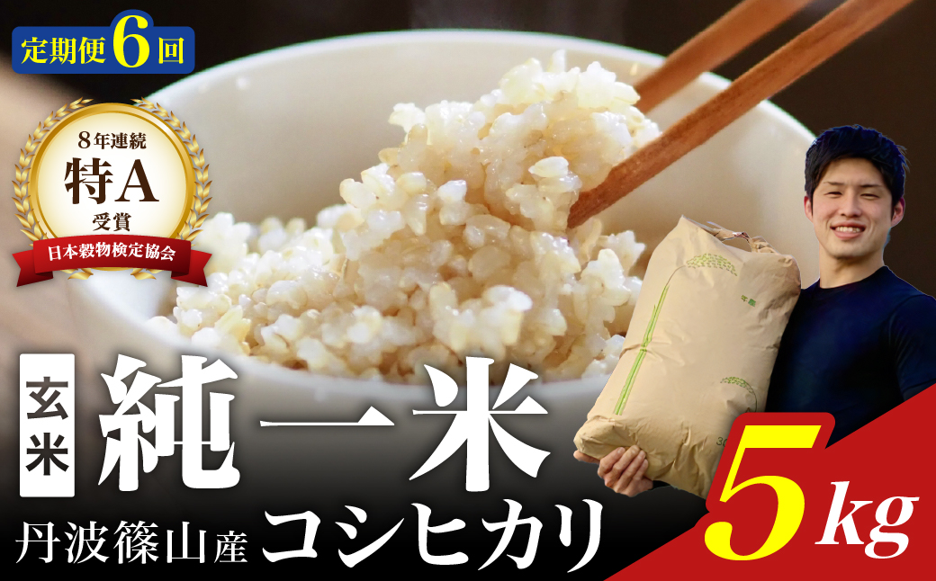 定期便6回【令和7年産】丹波篠山産　コシヒカリ　玄米　5kg