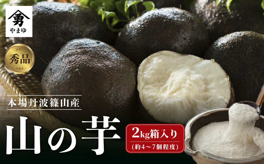 丹波篠山産 山の芋 秀品 2kg箱　令和7年産 新物