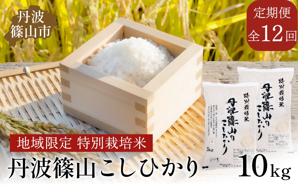【定期便】※令和7年 新米※ 特Aランク特別栽培米　コシヒカリ　10kg（全12回）総量120kg
