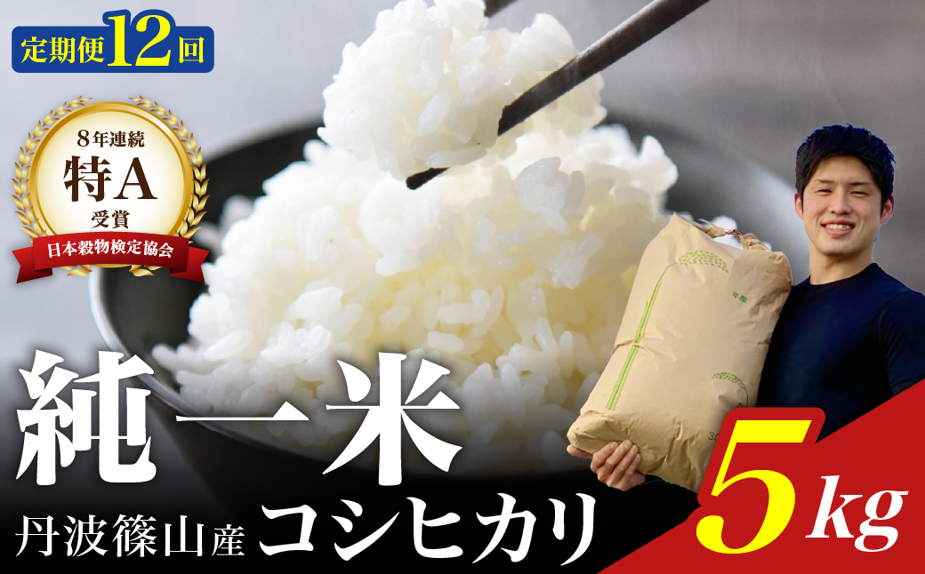 【令和7年産】兵庫県丹波篠山産 〈12ヶ月定期便〉コシヒカリ5kg（5kg×12回）
