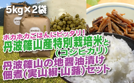 【令和7年産】丹波篠山の地醤油漬、佃煮セット　令和6年産 特別栽培米5kg×２と実山椒・山蕗