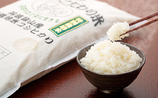 【2025年産】丹波篠山産特別栽培コシヒカリ白米5kg 兵庫県 丹波篠山市 白米 100％単一原料米 産地直送米 おいしい お米 精米 ブランド おこめ 健康 送料無料 おすすめ 人気 口コミ