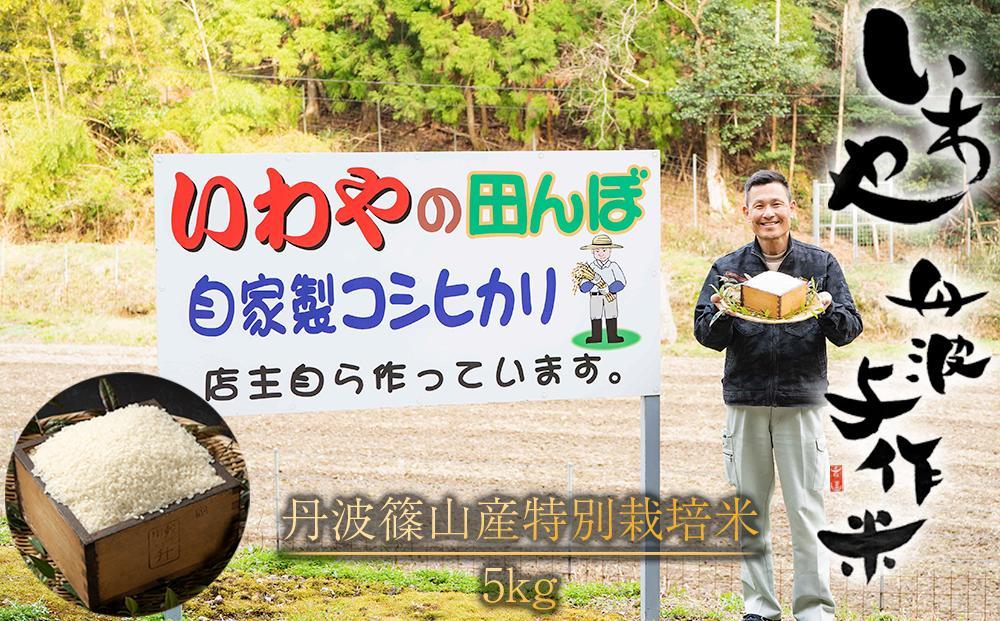 【令和7年産 2025年9月中旬以降、順次発送】丹波与作が作るいわやのお米 特別栽培米 5kg　丹波篠山産 こしひかり　丹波篠山市 農都のめぐみ米！カルゲン栽培！