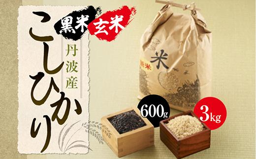【玄米】丹波産こしひかり玄米《令和7年度産》3kg　黒米300g×2