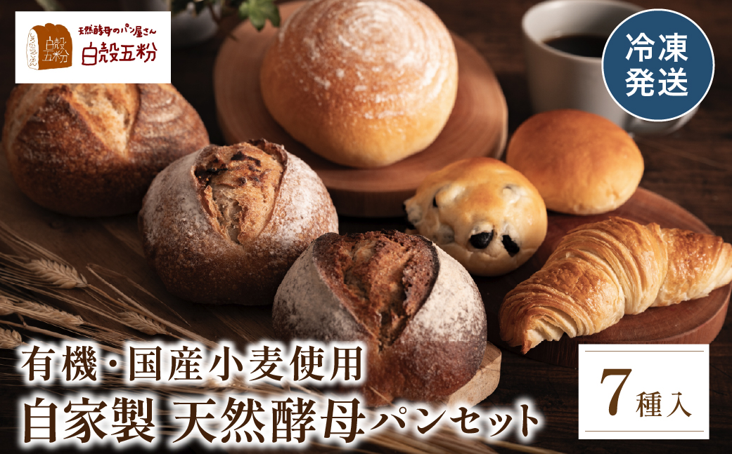 自家製天然酵母 7種入り パン セット