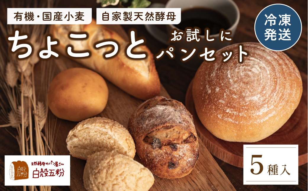 お試しちょこっとパンセット 5種入り