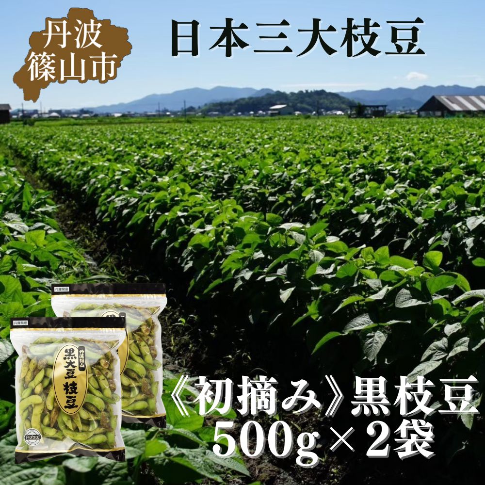 【先行予約】秋の味覚「丹波黒枝豆」  フレッシュな甘み・500g×2袋　初摘み 【2026年10月6日頃～13日頃発送予定】 知る人ぞ知る日本三大枝豆（丹波黒枝豆・黒崎茶豆・だだちゃ豆）のひとつ！