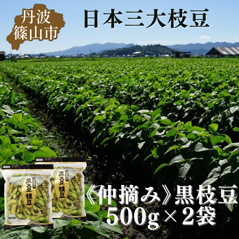 【先行予約】秋の味覚「丹波黒枝豆」  爽やかな旨味・500g×2袋　仲摘み 【2026年10月14日頃～21日頃発送予定】 知る人ぞ知る日本三大枝豆（丹波黒枝豆・黒崎茶豆・だだちゃ豆）のひとつ！