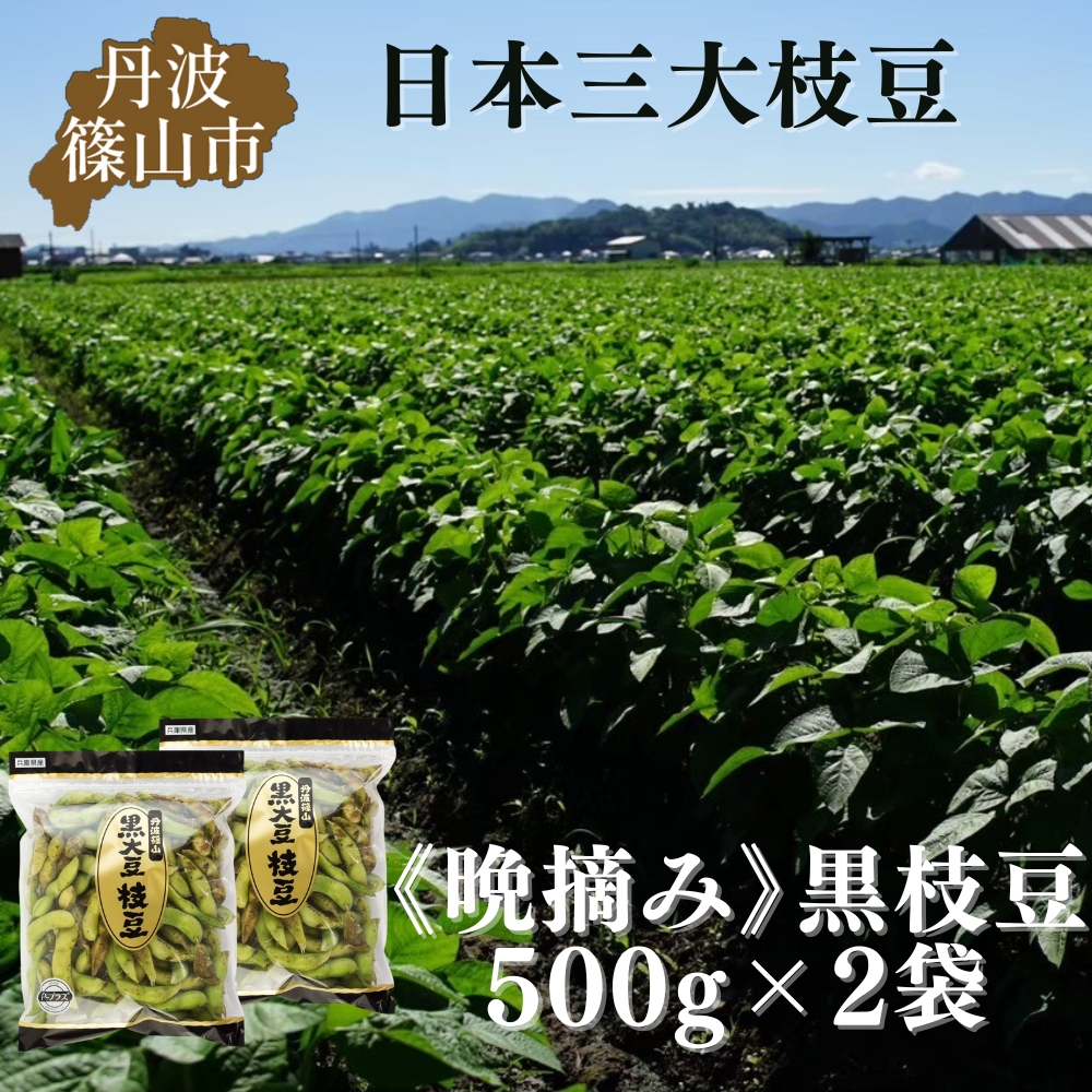 秋の味覚「丹波黒枝豆」  濃厚なコク・500g×2袋　晩摘み 【2025年10月22日～11月上旬頃お届け予定】 知る人ぞ知る日本三大枝豆（丹波黒枝豆・黒崎茶豆・だだちゃ豆）のひとつ！