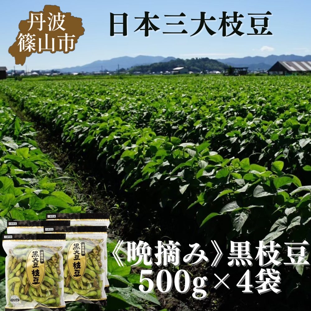 【先行予約】秋の味覚「丹波黒枝豆」  濃厚なコク・500g×4袋　晩摘み 【2026年10月22日頃～11月上旬頃発送予定】 知る人ぞ知る日本三大枝豆（丹波黒枝豆・黒崎茶豆・だだちゃ豆）のひとつ！