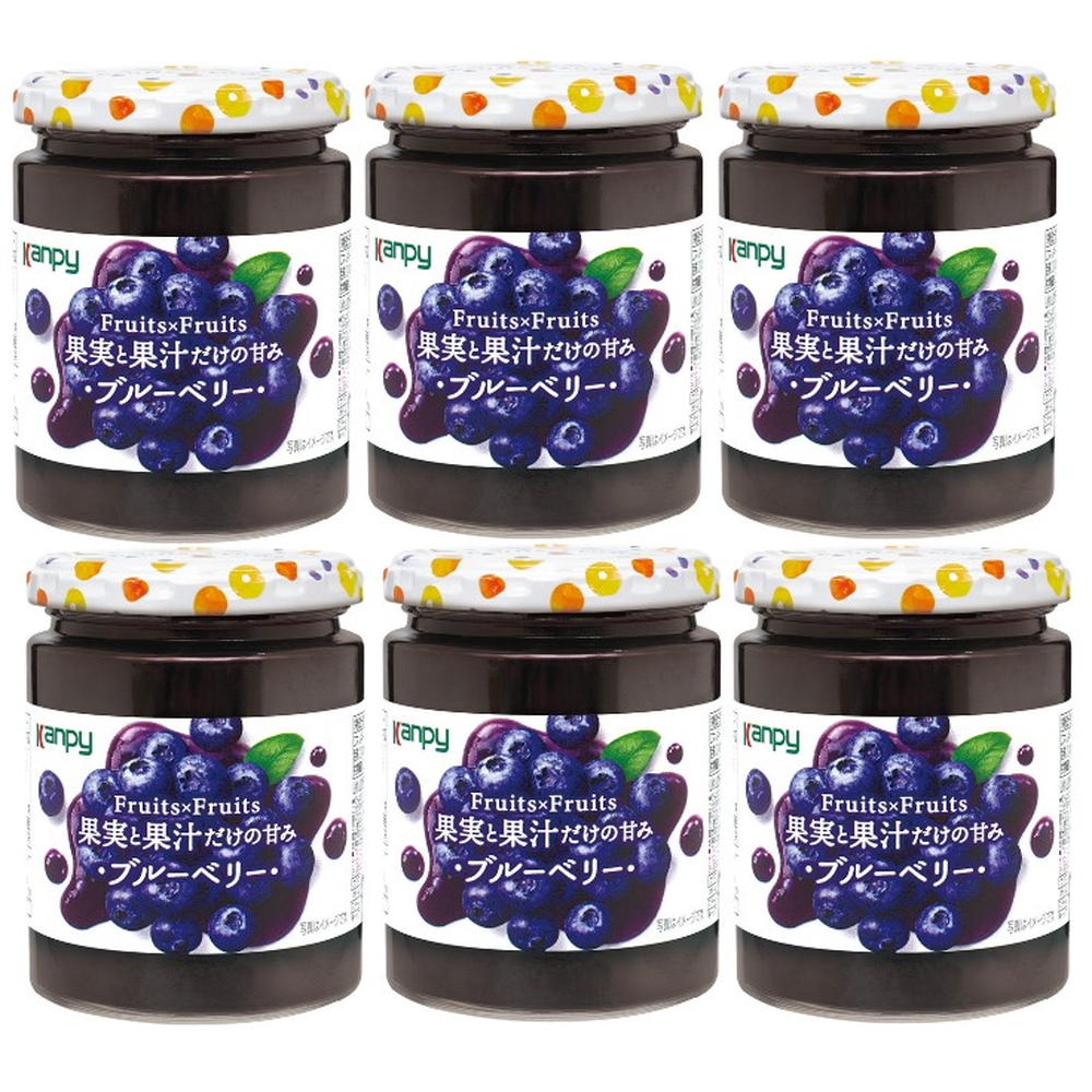 果実と果汁だけの甘み　ブルーベリー　260ｇ×6
