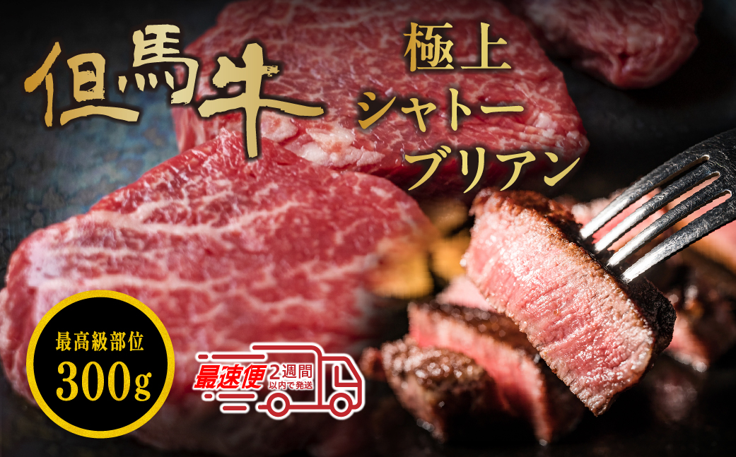 但馬牛 シャトーブリアン 150g×2個 300g
