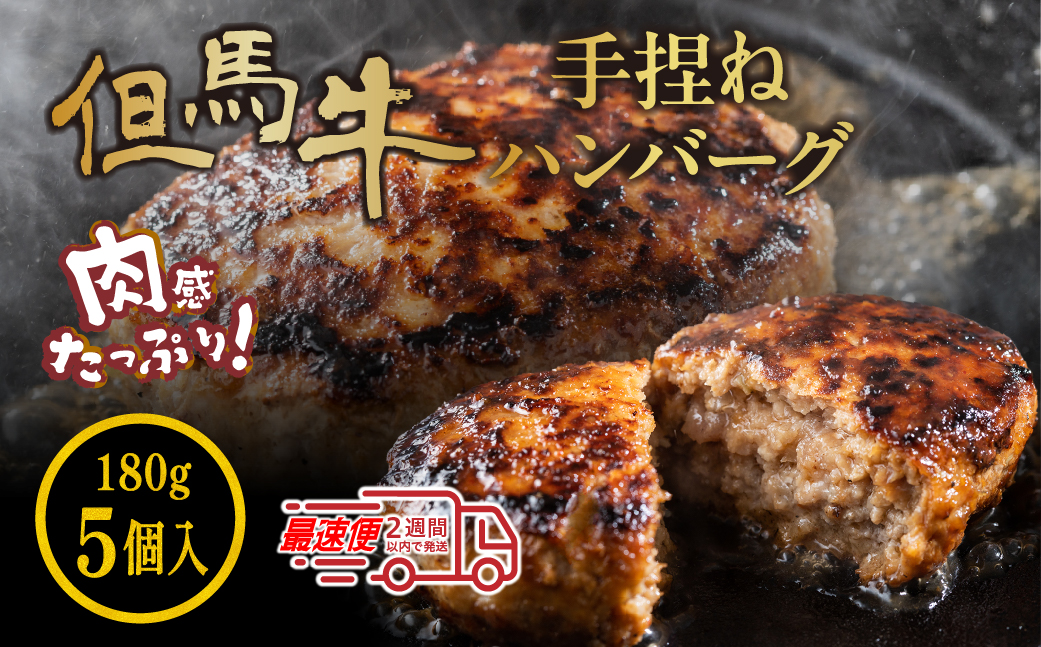 但馬牛使用　合挽 自家製ハンバーグ デミグラスソース付き180g×5個 小分け 加熱前 未加熱