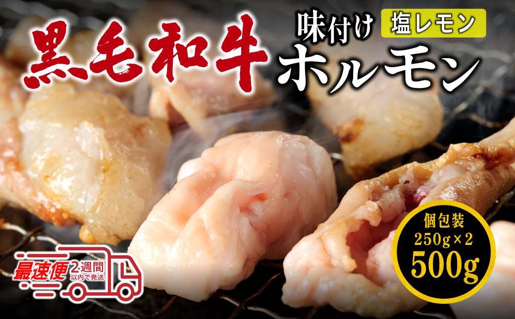 国産黒毛和牛 タレ漬けホルモンミックス塩レモン 250g x 2袋