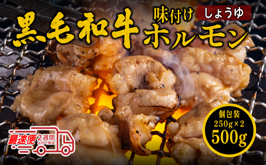 国産黒毛和牛 タレ漬けホルモンミックスしょうゆ250g x 2袋