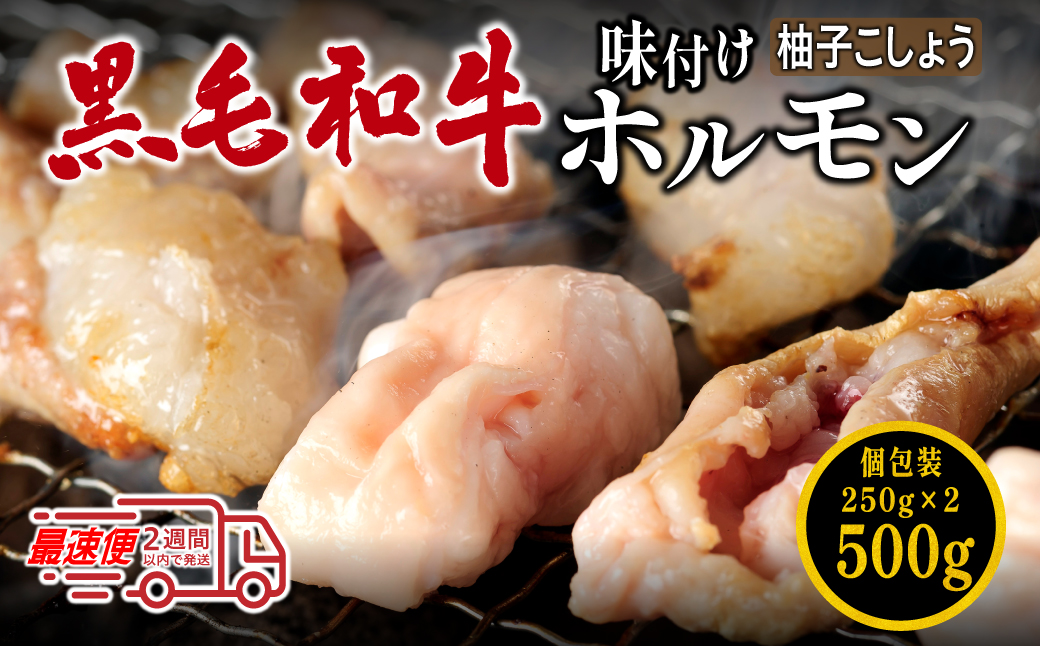 国産黒毛和牛 タレ漬けホルモンミックス柚子胡椒250g x 2袋